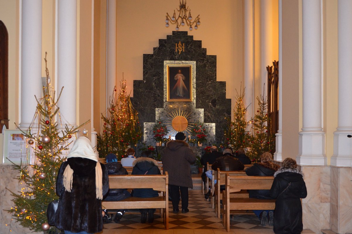 Римско-католический Собор Непорочного Зачатия Пресвятой Девы Марии в Москве. - Oleg4618 Шутченко