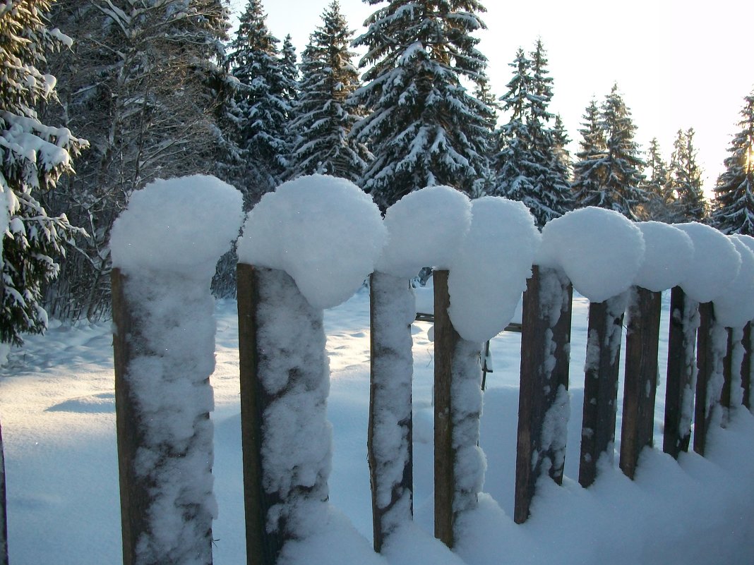 Рождественский забор - Виктор Елисеев