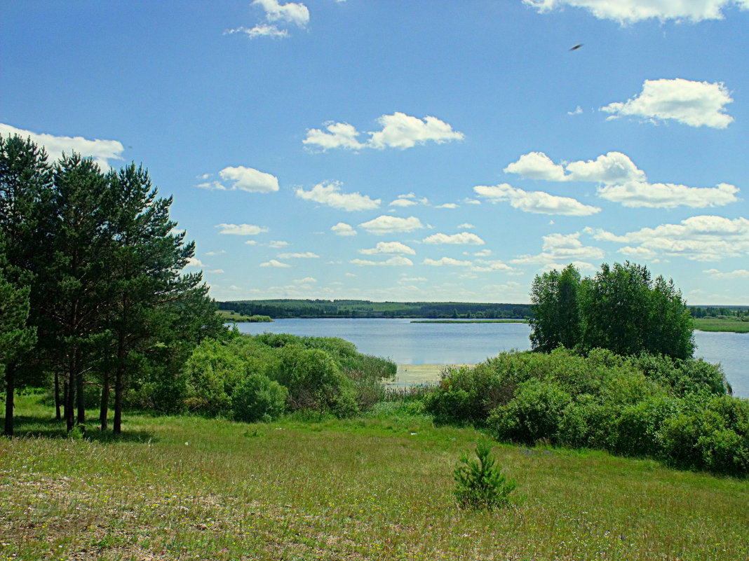 лето - ольга старкова 