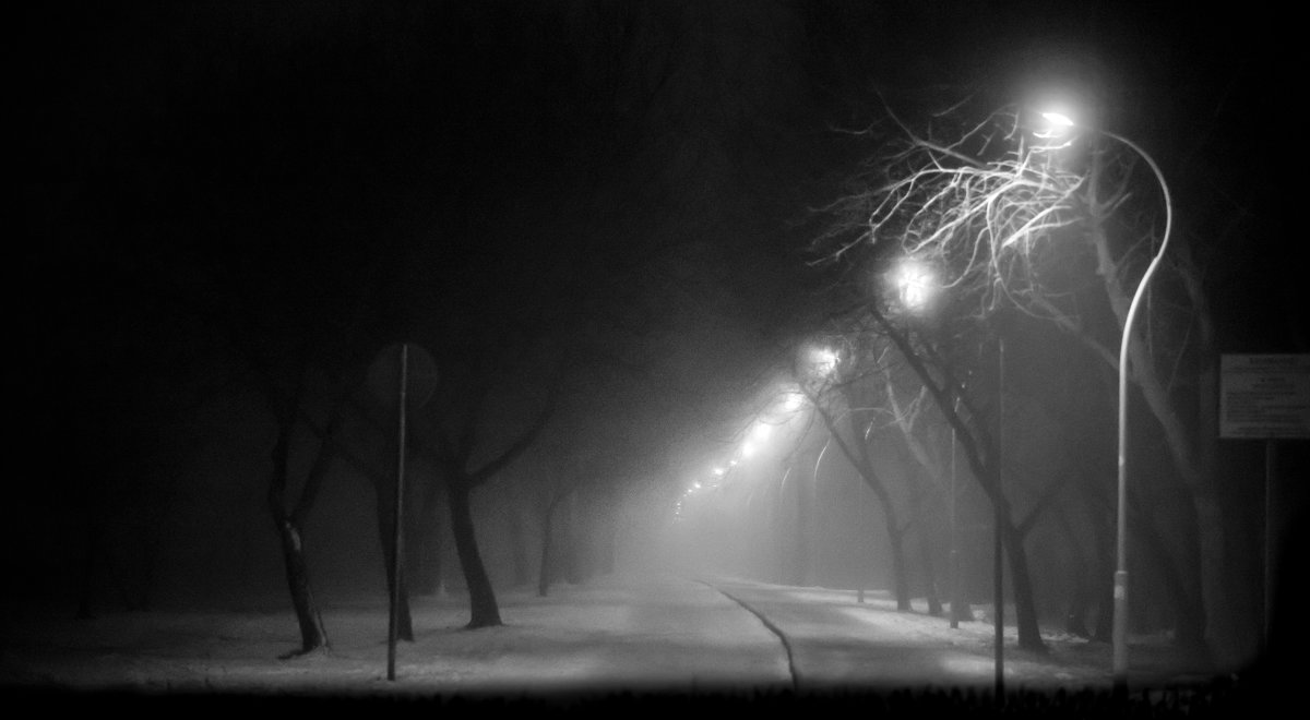 СПб, ночной туман - Aleksandr Zubarev