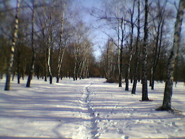 Алея - Миша Любчик