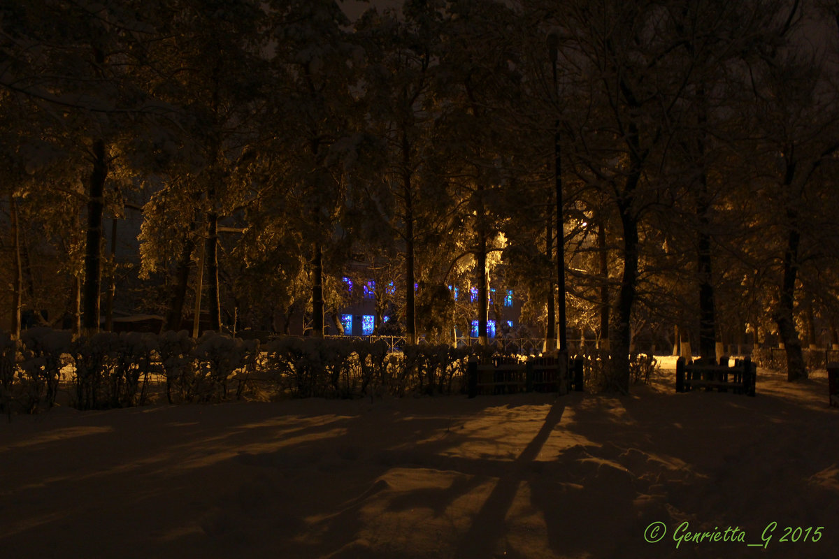 Ночь в парке - Гетта G