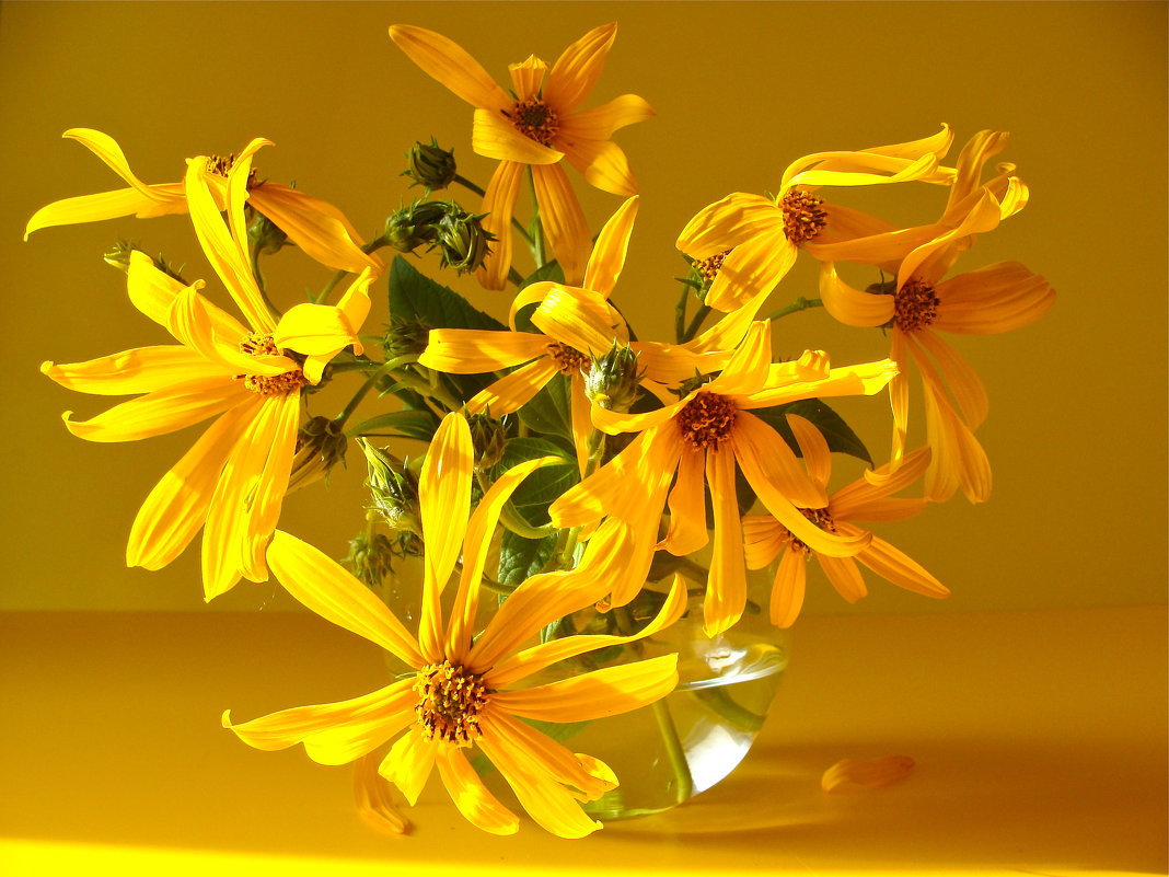 Желтые цветы. - Larisa Simonenkova