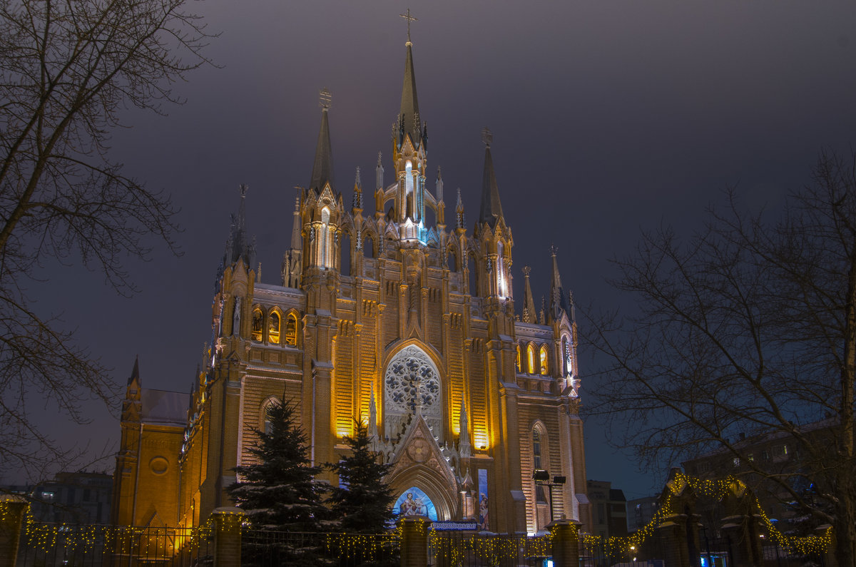 Кафедральный собор Непорочного Зачатия Пресвятой Девы Марии в Москве - Константин Вергун