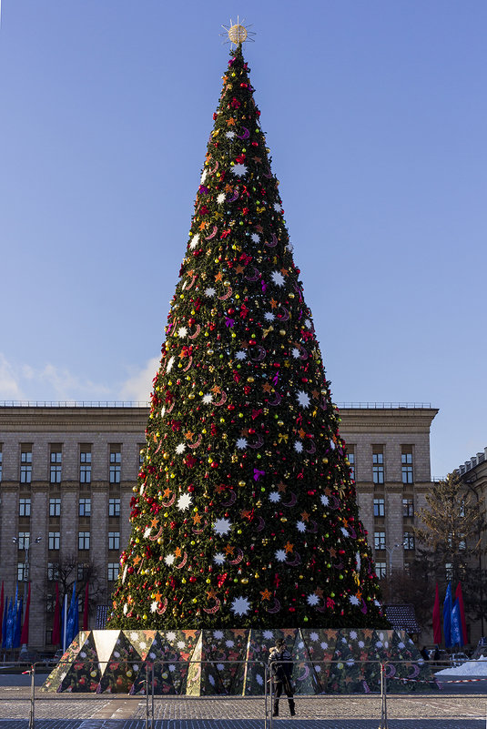 Новогодняя елка - Юрий Стародубцев