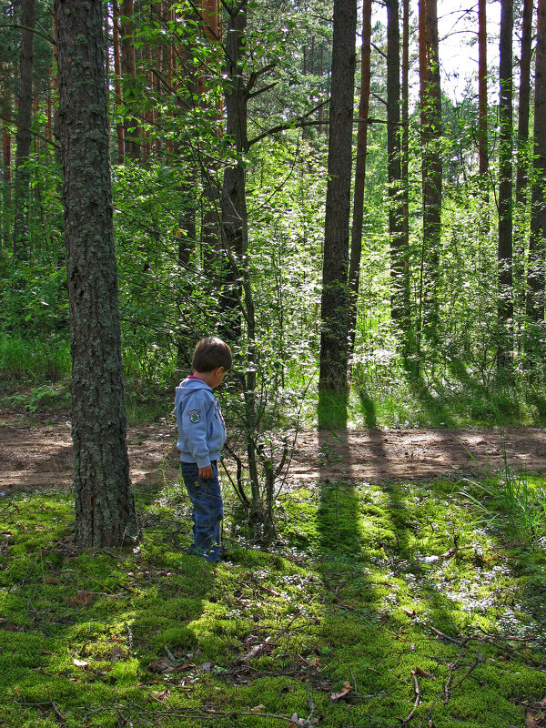 В лесу - Наталья 