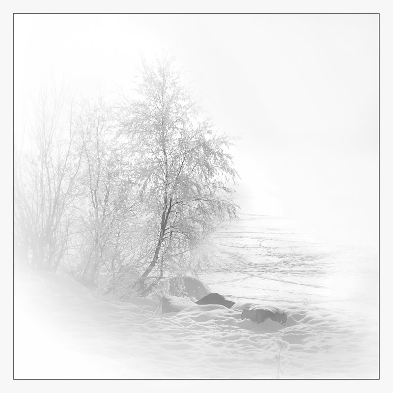 Белая зима - Лариса Шамбраева