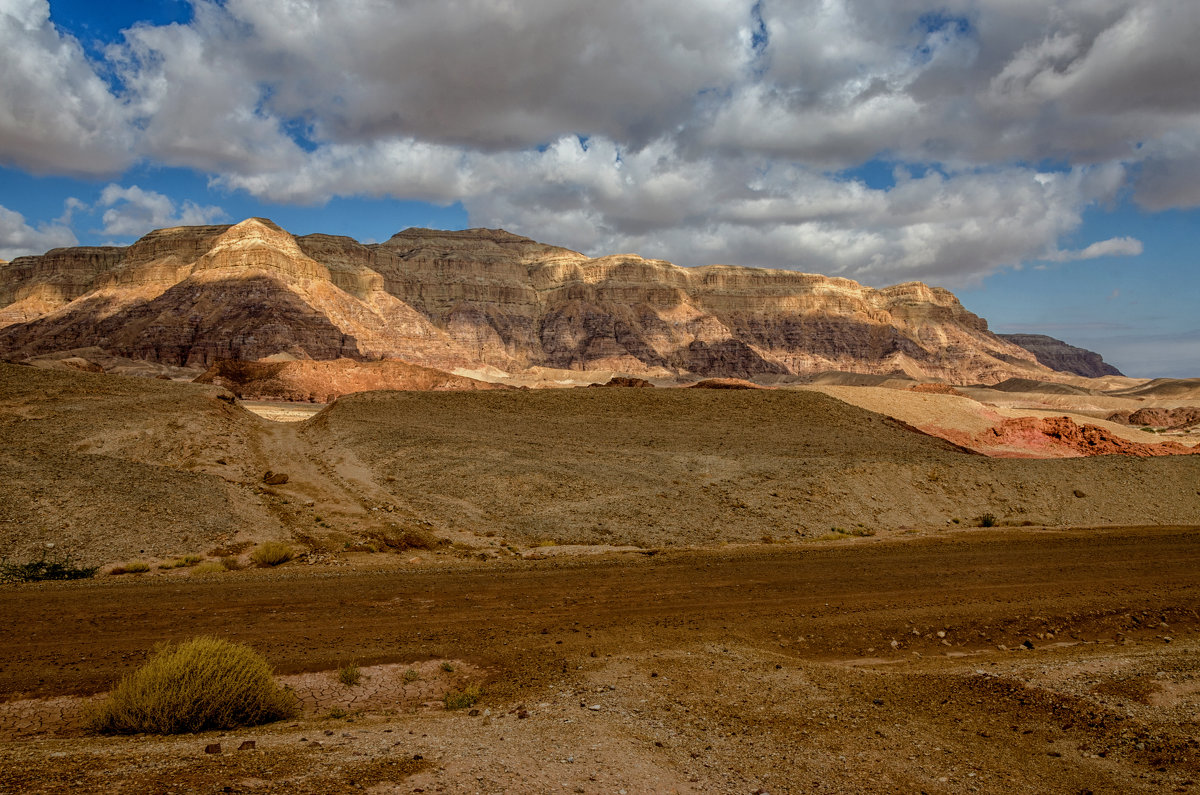 Тимна парк, пустыня Арава, Израиль - Владимир Горубин