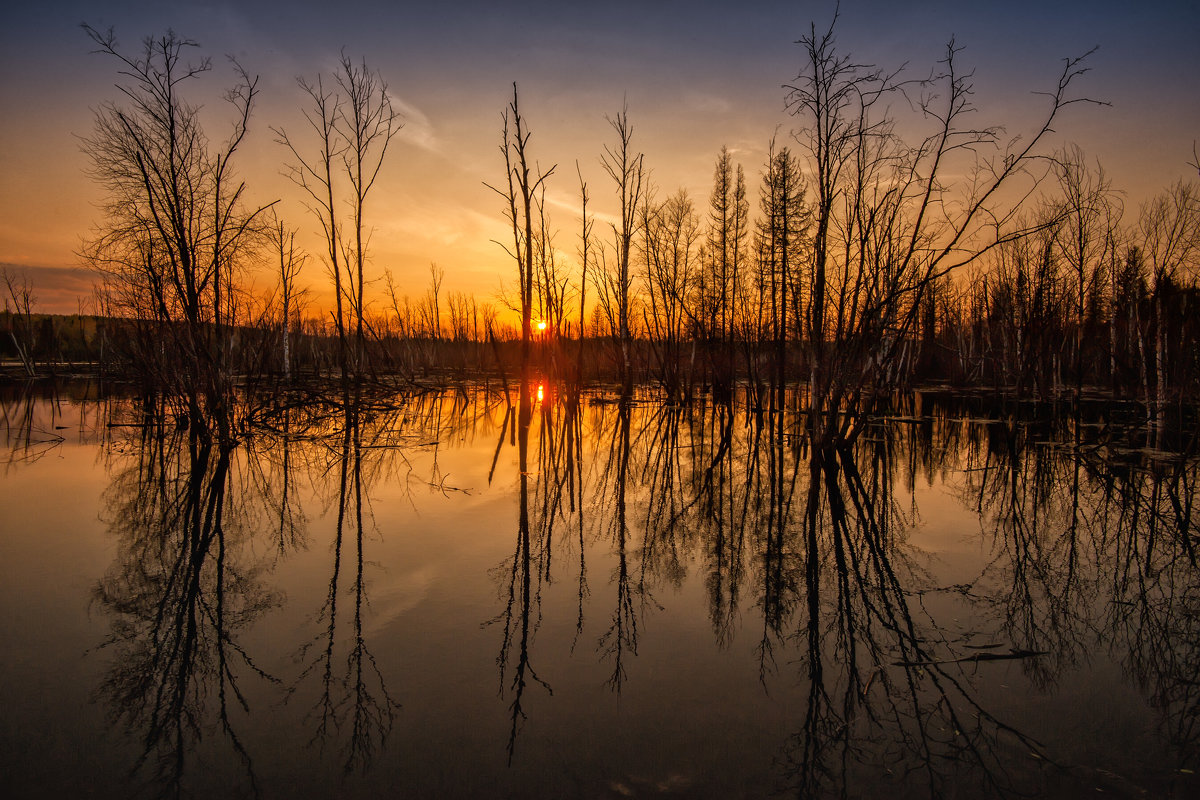 Застывший закат над болотом - Владимир Чуприков
