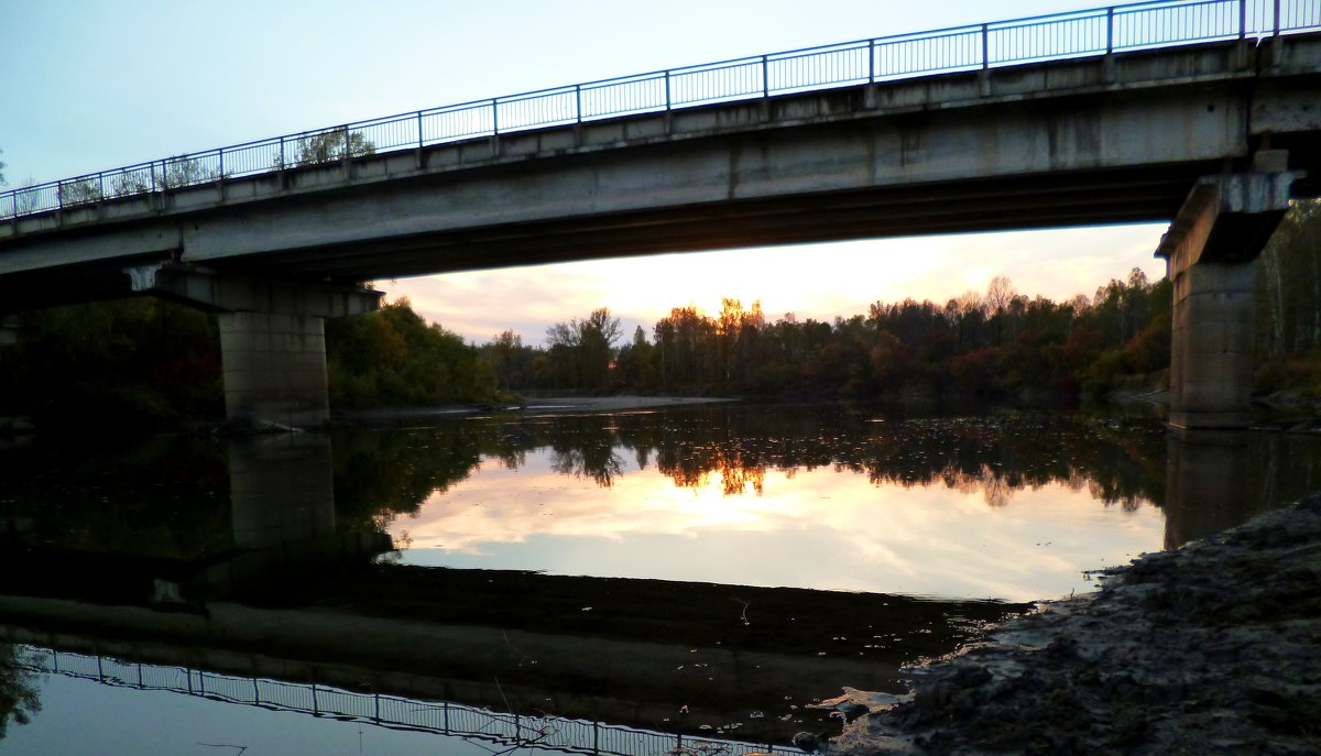 Мост - оксана савина