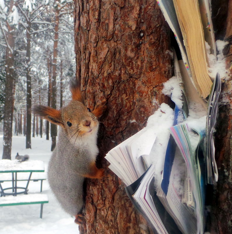 - что свеженького? - Олег Петрушов