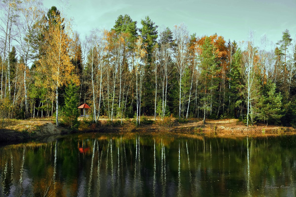Лесное озеро - Виктор Филиппов