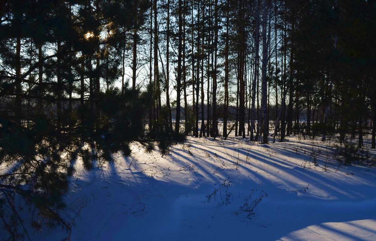 Ближе к вечеру - Вера Андреева