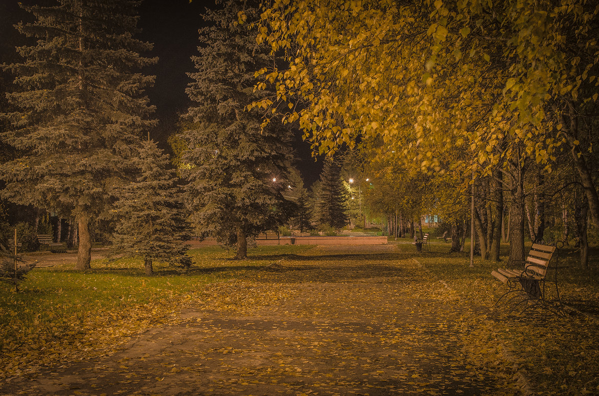 Осень в ночи - Владимир 