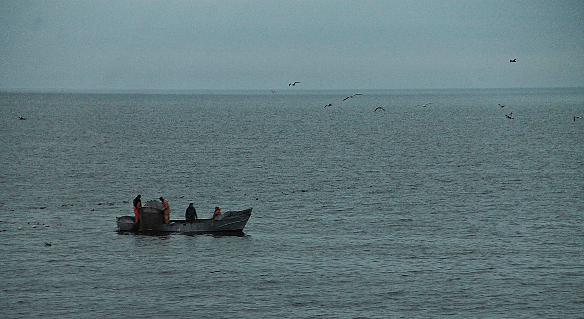 Рыбаки на Финском заливе - Михаил Лобов (drakonmick)