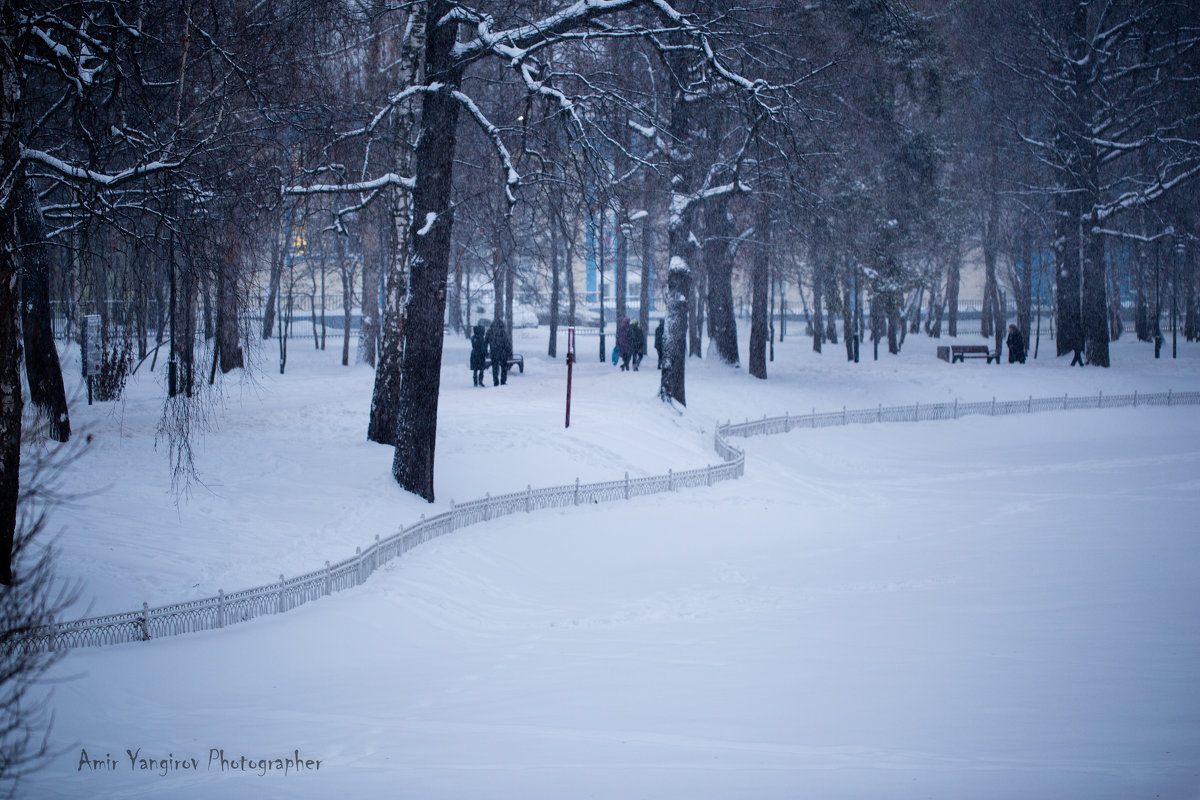 Зима 2015 - Янгиров Амир Вараевич 