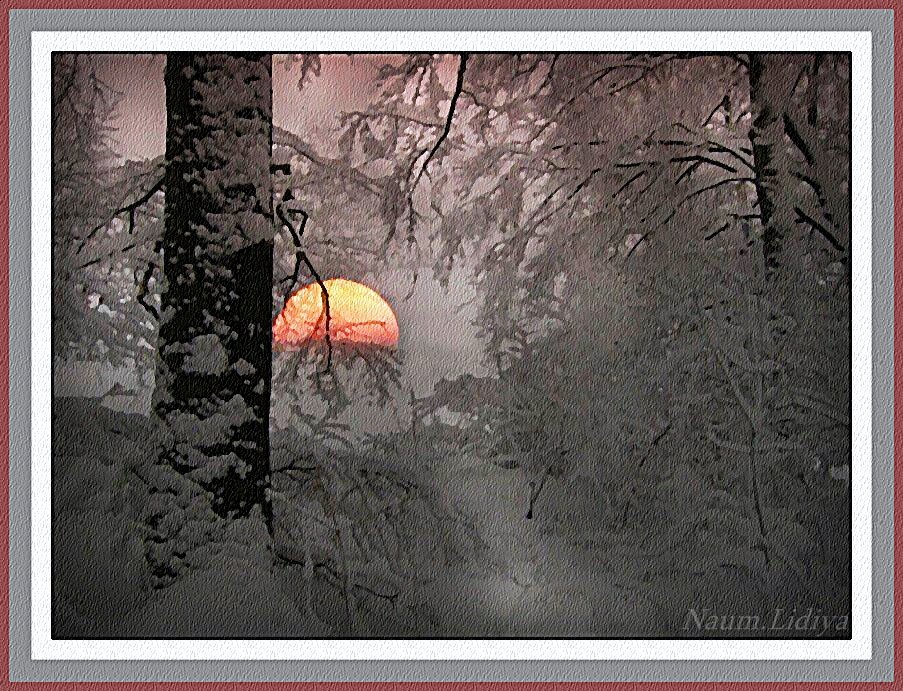Таинственный вечер в зимнем лесу - Лидия (naum.lidiya)