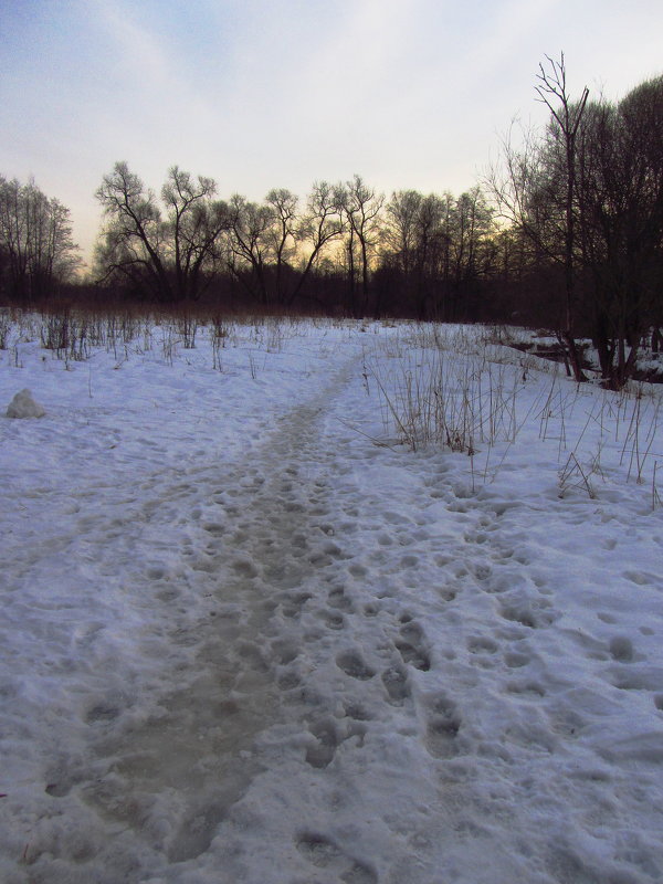 Вечерело - IMG_0471 - Андрей Лукьянов