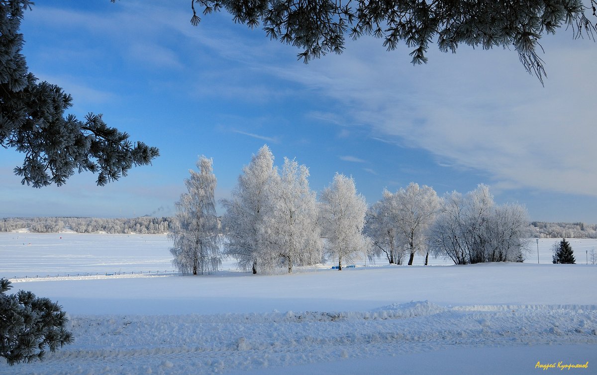 Белое покрывало зимы - Андрей Куприянов