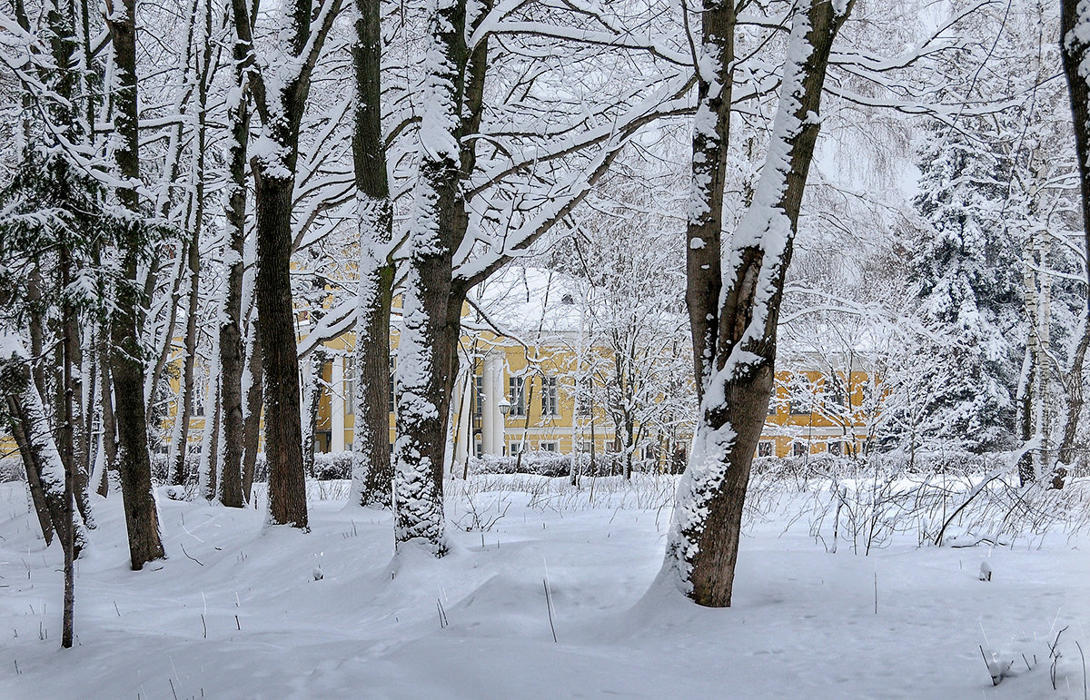 в старом парке - Galina 