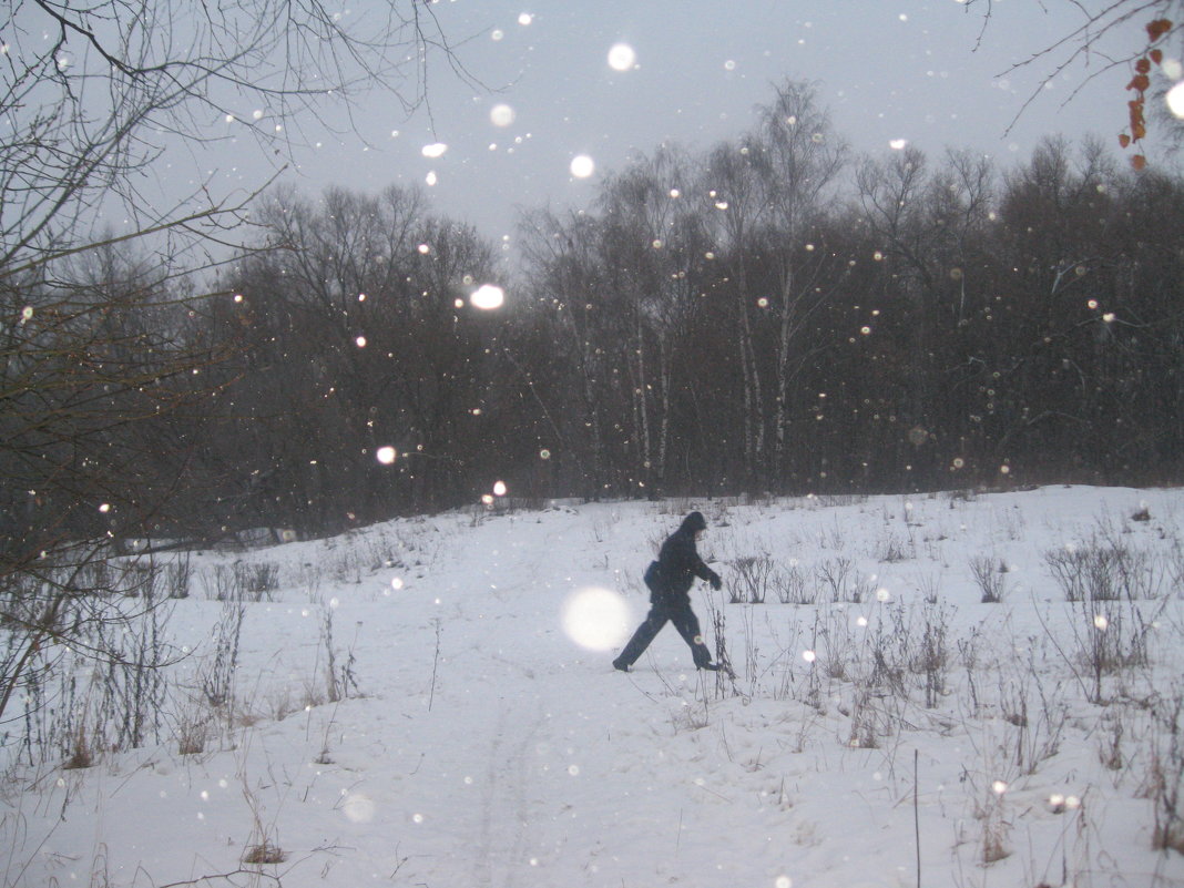 В снегопад - Джулия К.