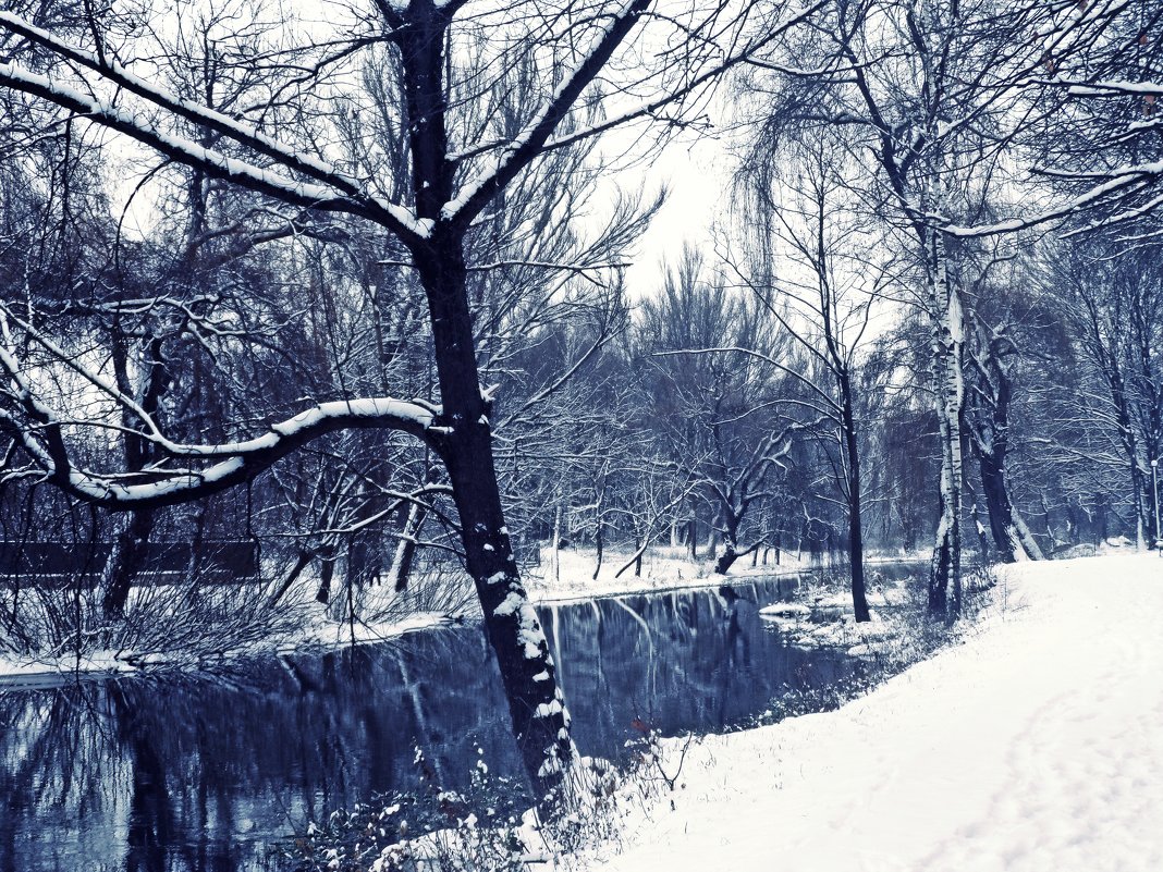 Зима - Любовь Шатура