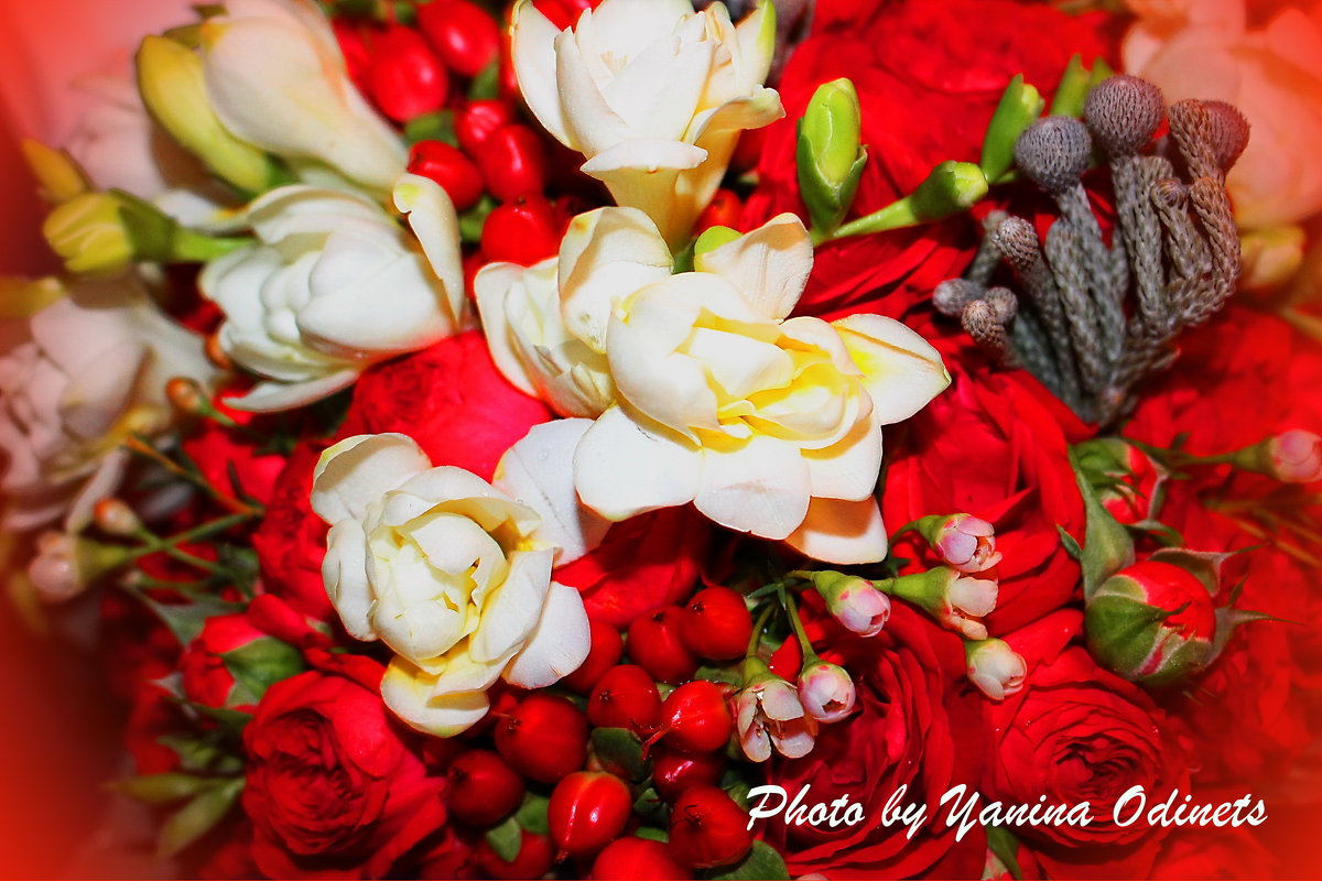 цветут цветы - Yana Odintsova