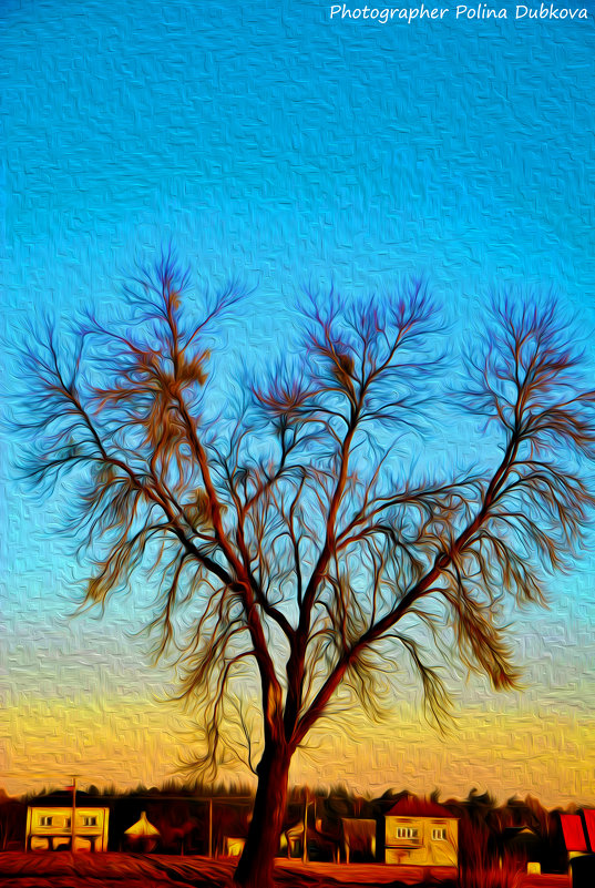 Дерево - Полина 