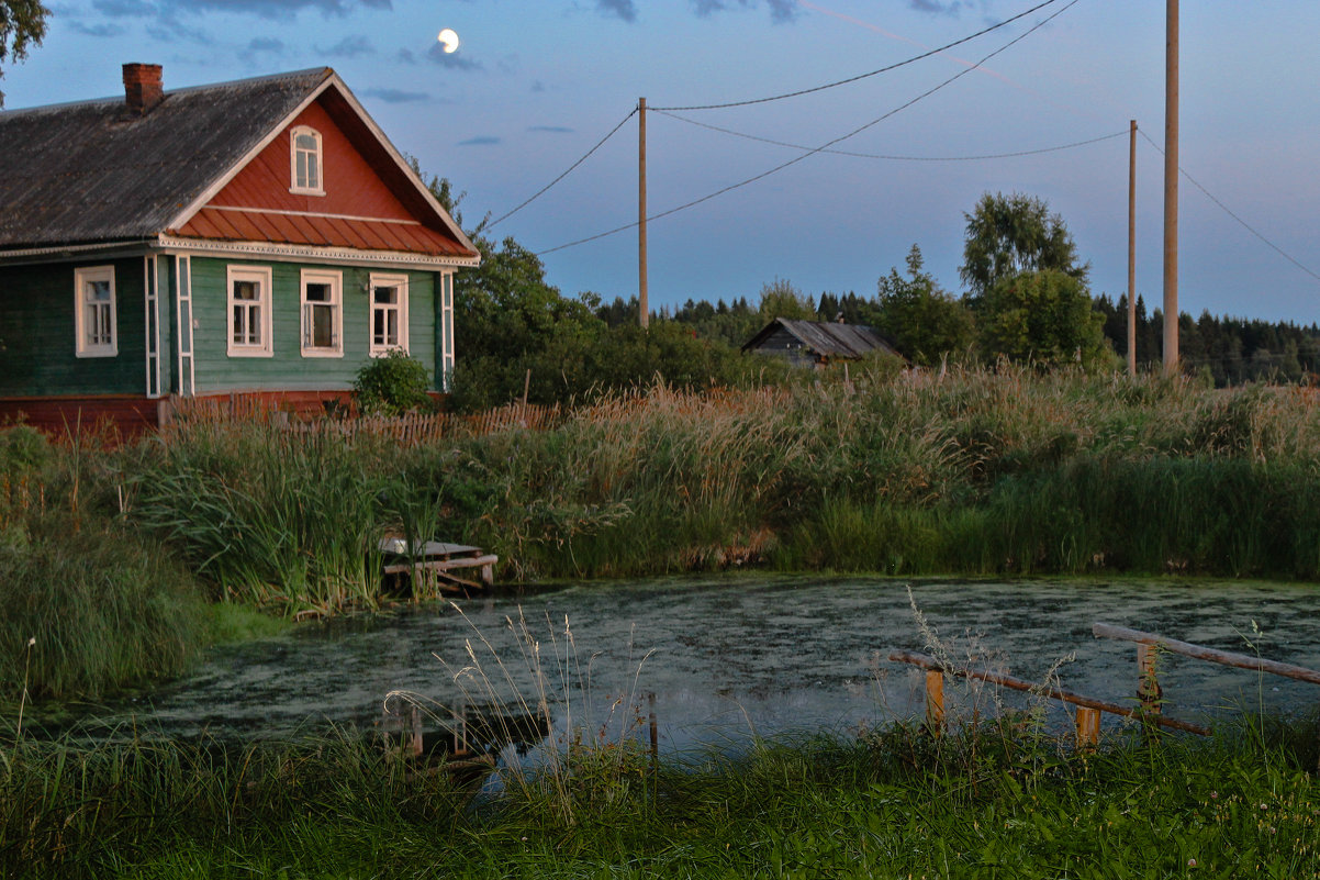 Домик у пруда - Сергей Голубцов