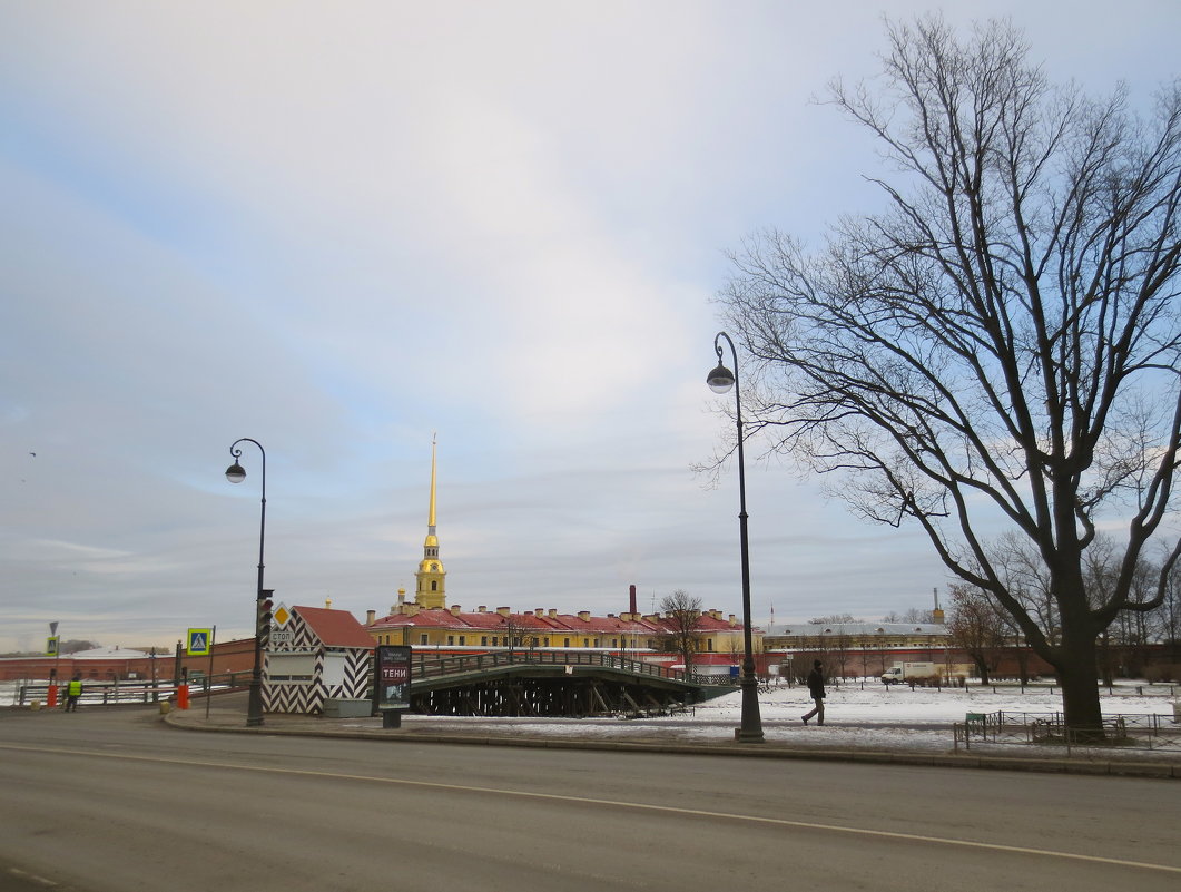 вокруг Петропавловки - Елена 