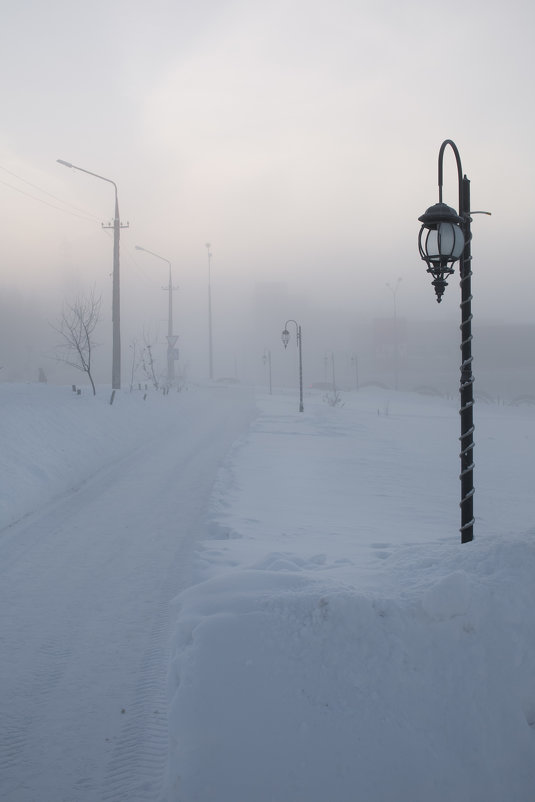 Морозное одиночество... - Sergey Apinis