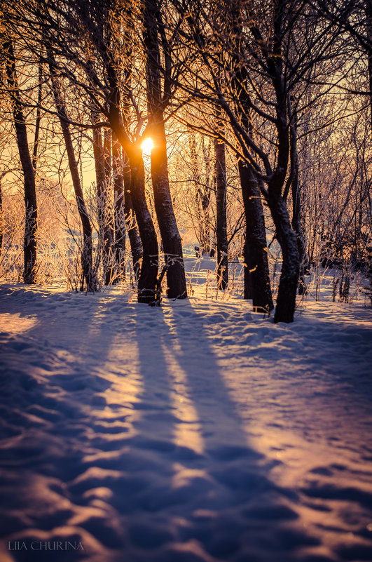 Along the winter sun - Лия Чурина