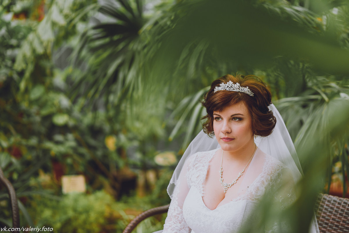 Портрет невесты в оранжерее Таврического сада - Валерий Фролов
