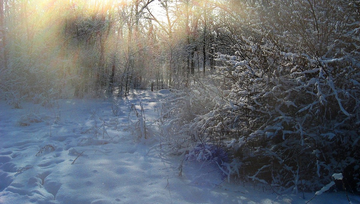 Сквозь иней летящий... - Natali 