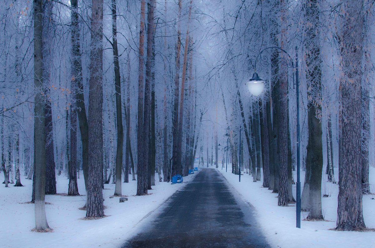 Зимний парк - Геннадий Хоркин