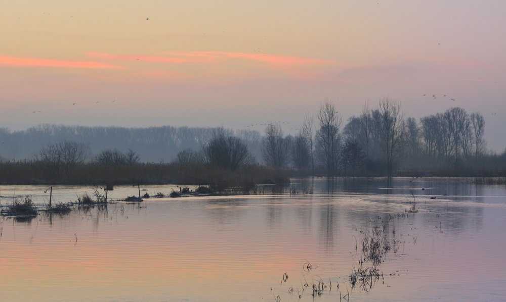 A wintermorning in Woumen. - Johny Hemelsoen 