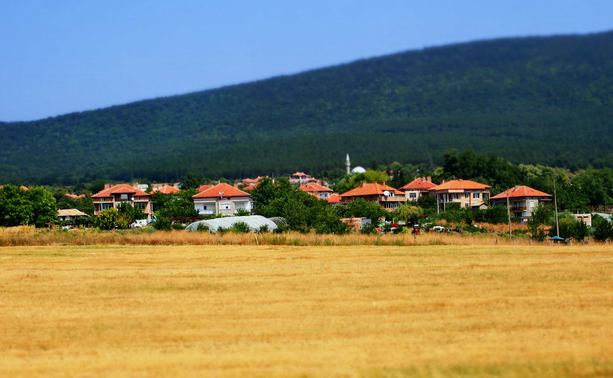 болгарская деревня - Ирина ***
