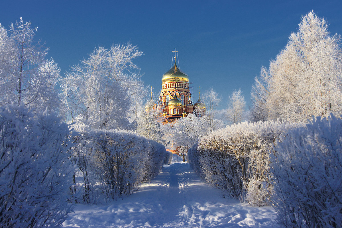 Зимний парк - Irina Ivanova