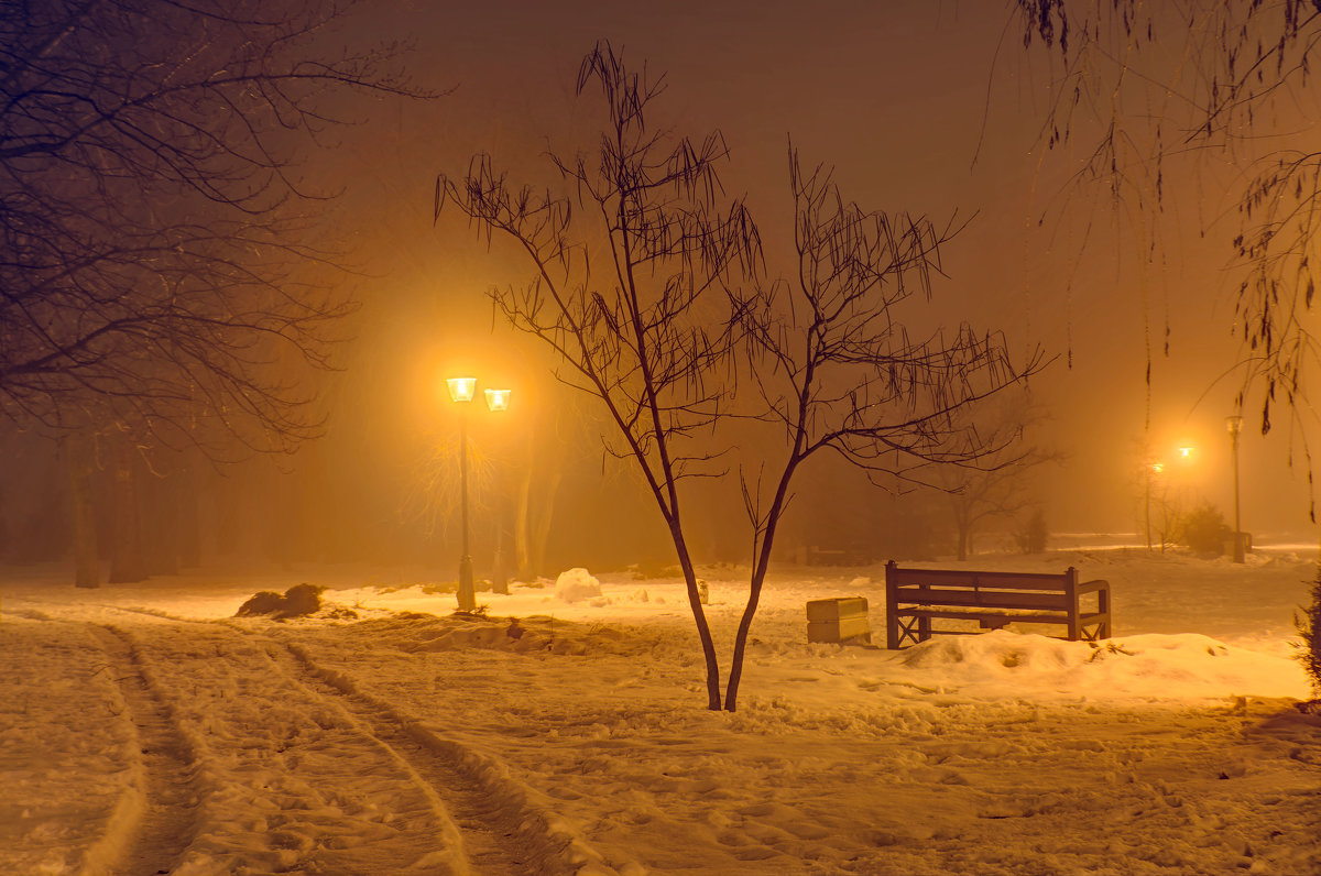 В парке ночью - Константин Бобинский