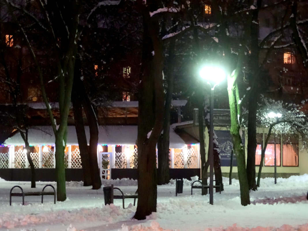 Кафе в зимнем парке... - Тамара (st.tamara)