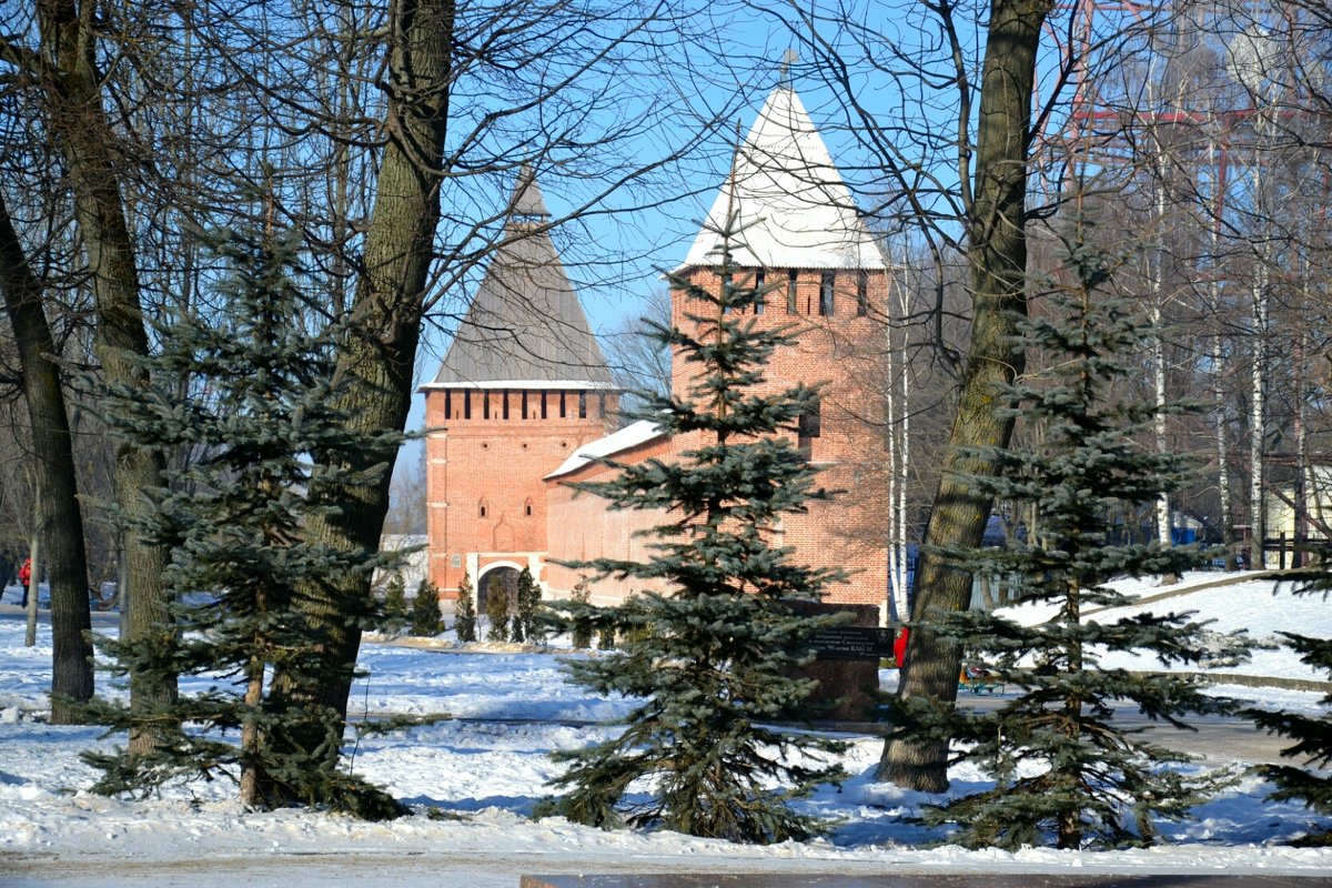 Фрагмент Крепостной стены с башнями: "Бублейка" и "Копытенская" - Милешкин Владимир Алексеевич 