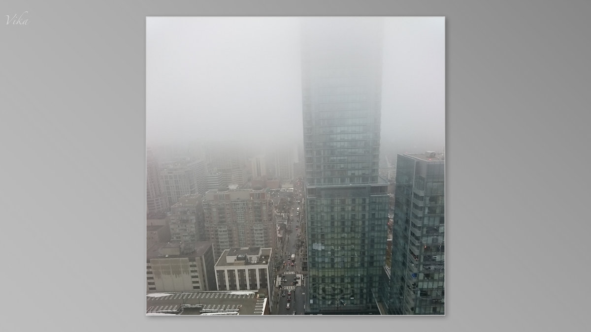 Торонто в тумане - Виктория Михайлова