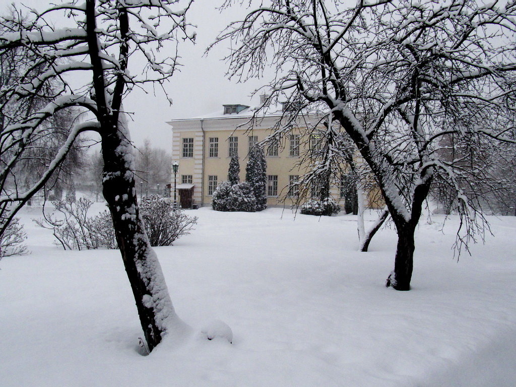 Снегопад начала февраля - Николай Дони