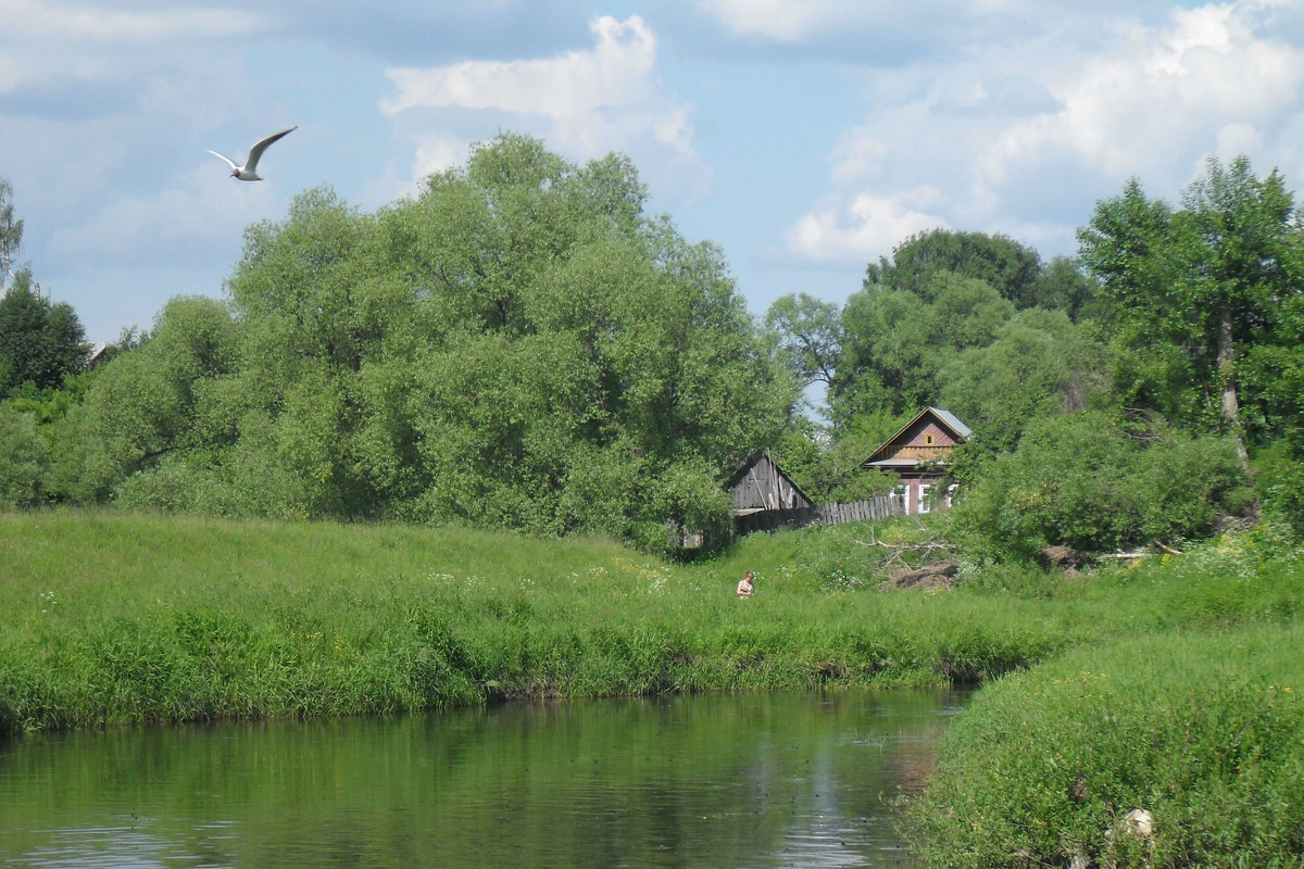 Дом у реки - Святец Вячеслав 