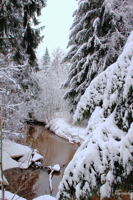 Сказки зимнего леса - Iverinka .