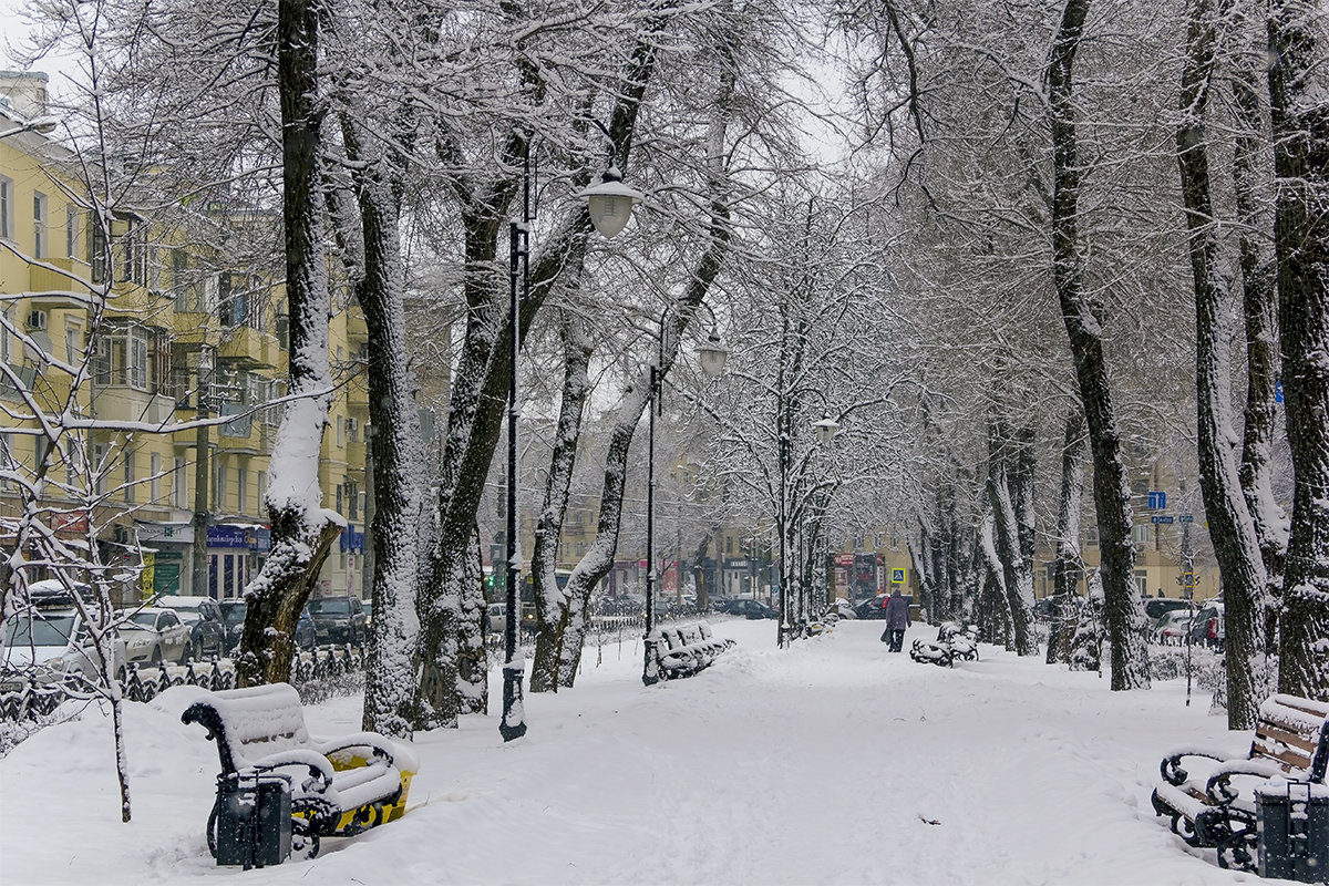 Снежный день в городе.. - Юрий Стародубцев