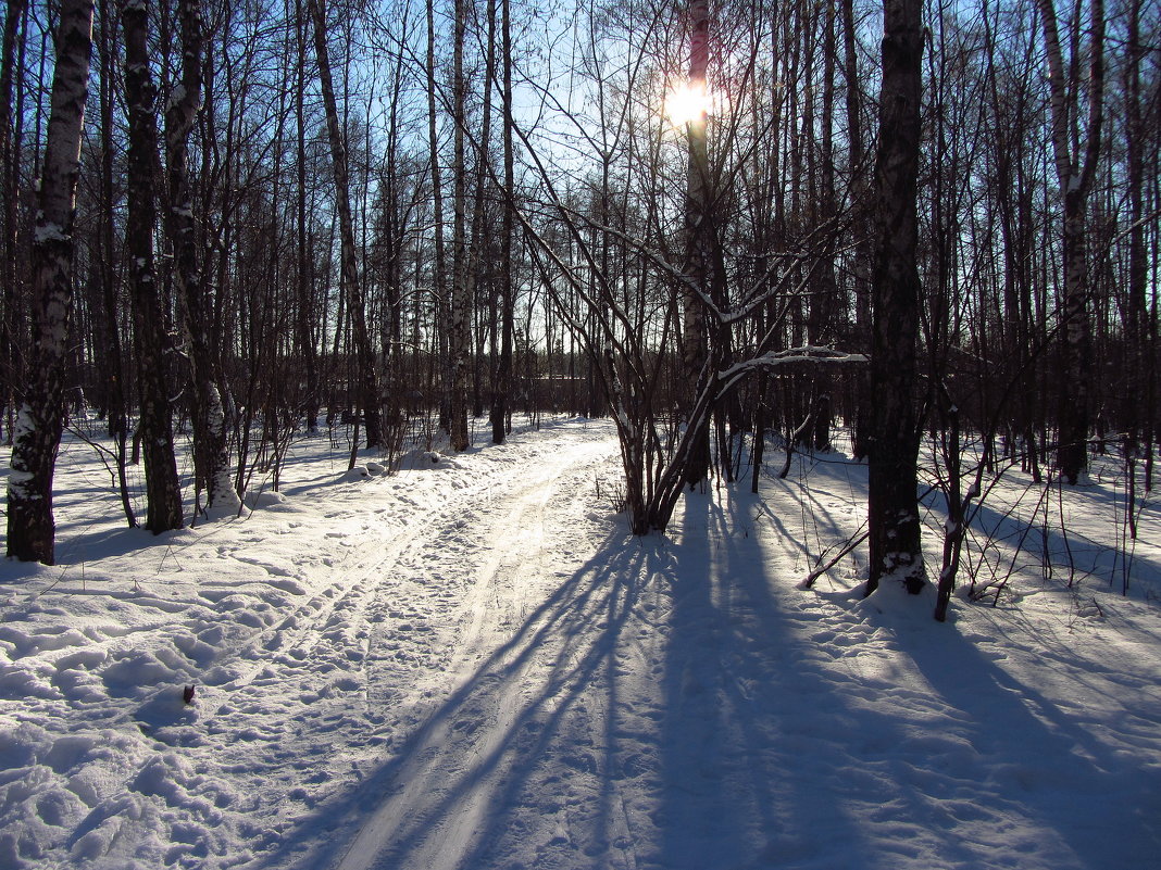 А в прошлом году солнце в январе было! - Андрей Лукьянов
