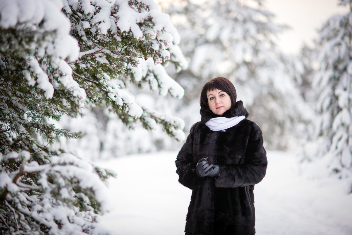 Зима в Карелии - Сергей Шубин