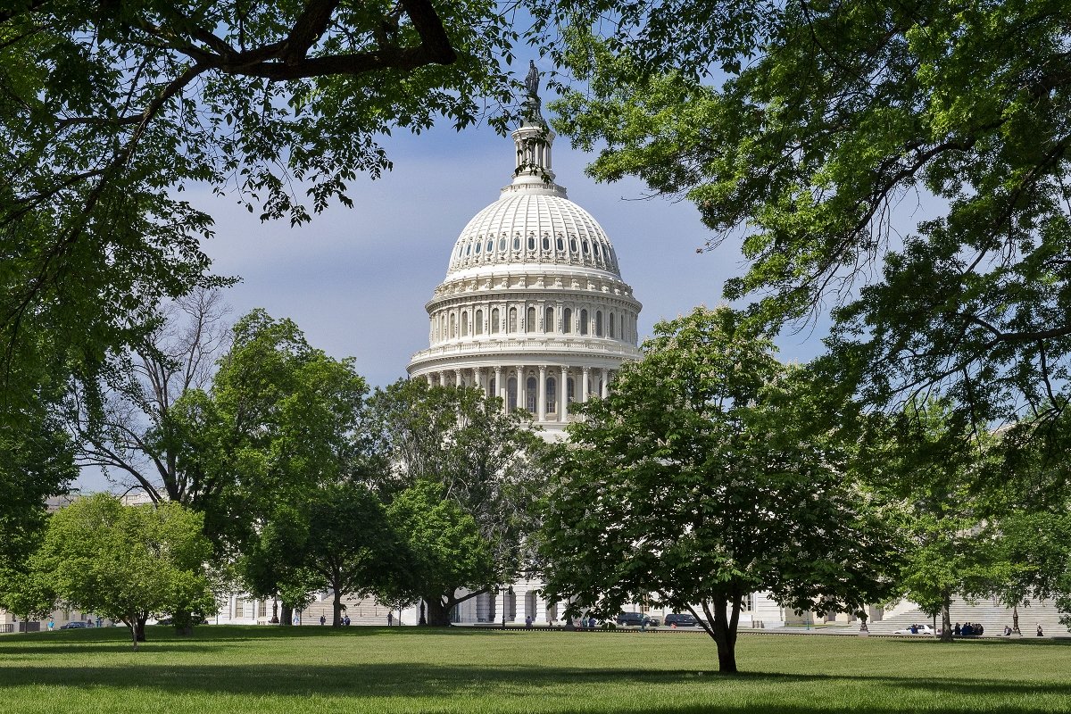 United States Capitol - Александр Чекмарев