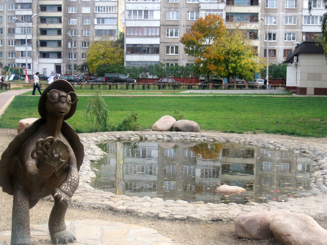 Черепаха Тортилла в моем городе - Елена Семигина